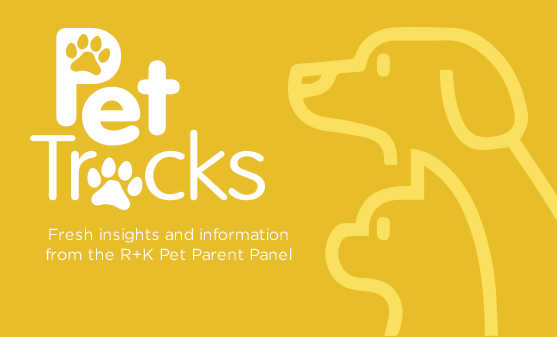 Insights from pet parent panel