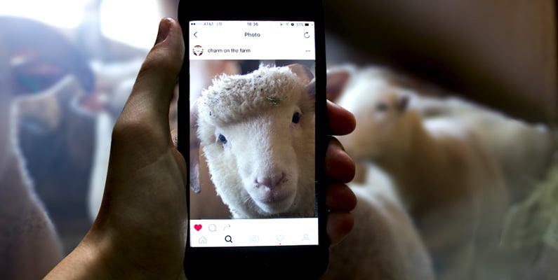 Instagram for Marketing to Farmers