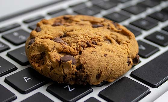 Cookies privacy policy