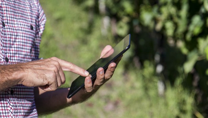 Farmer using mobile cell phone